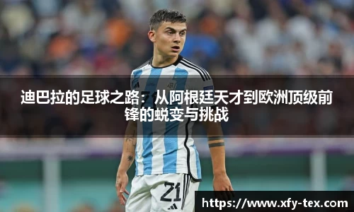 九游(NineGame)体育·官方网站